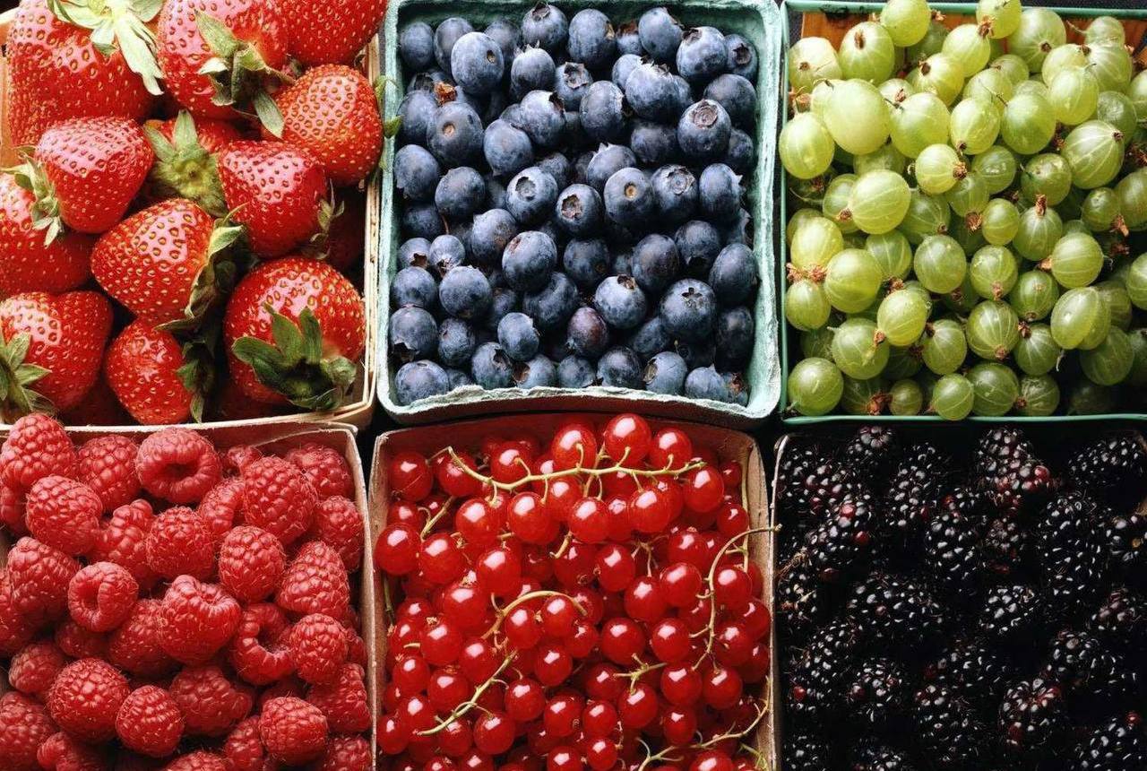 Zašto su bobice iz trgovine izvan sezone opasne?